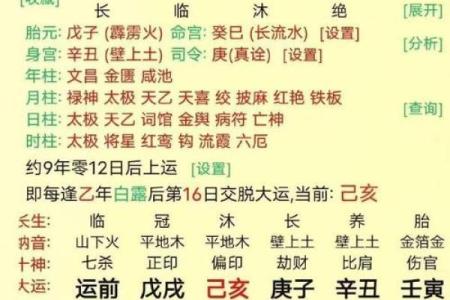 八字命理测试分析