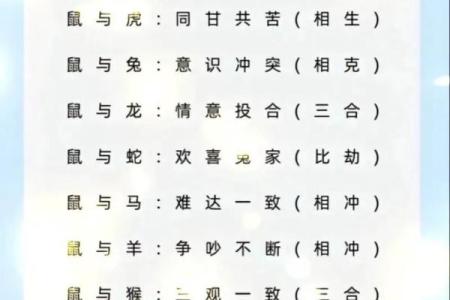 属羊和属鼠的八字合吗