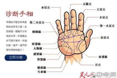 手相“影响线”算命图解
