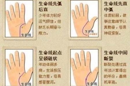 罕见的掌纹手相算命和图解