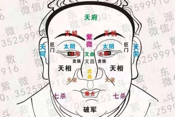 紫薇斗数怎么看主星 紫薇斗数怎么看主星