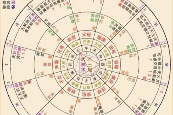 命主星紫薇斗数