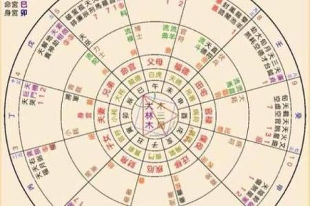 命主星紫薇斗数