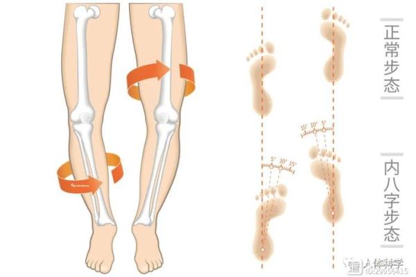 左脚八字 左脚八字
