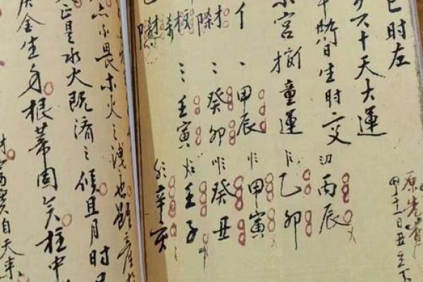 自学算命入门书籍 自学算命入门书籍