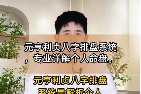 元亨八字排盘,新浪八字命盘查询 元亨八字排盘,新浪八字命盘查询