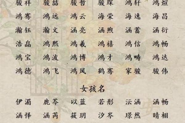 属龙卯时出生的男孩怎么取名，用什么字好姓名