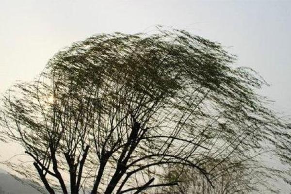 风水角度男人四十不惑是什么意思 风水角度男人四十不惑是什么意思