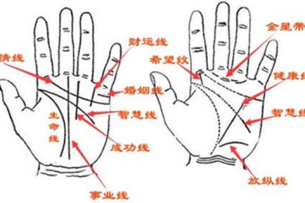 男手痣相图解算命 男手痣相图解算命