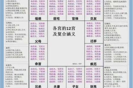 紫微斗数之定十二宫星曜落闲宫
