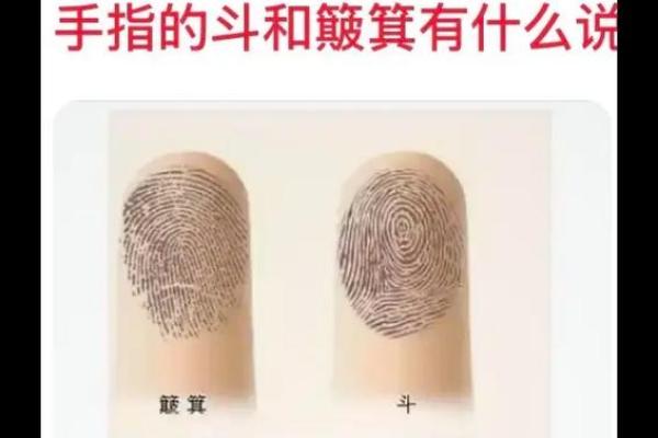 农村老人常说,手上簸箕和斗的数量能决定人的运!是真的吗? 农村老人常说,手上簸箕和斗的数量能决定人的运!是真的吗?