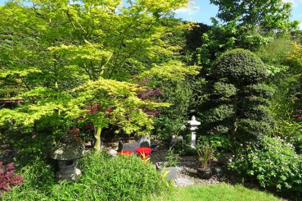 庭院风水树有哪些 庭院种什么树风水好 庭院风水树有哪些 庭院种什么树风水好