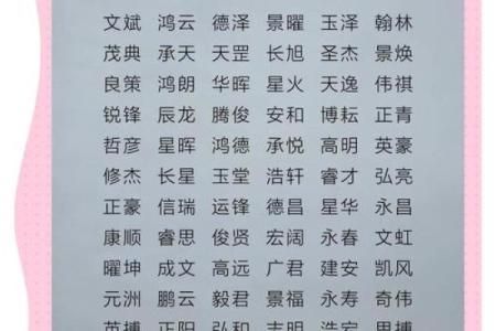 2019年6月29号寅时出生的男孩应该起什么样的名字姓名