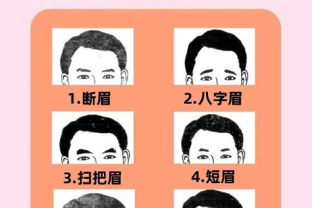 男人眉毛看相算命