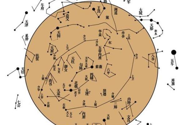 紫薇斗数紫薇梦