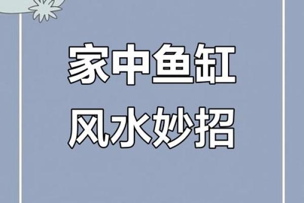 鱼缸的摆放位置与风水的关系