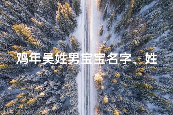 4月份出生的属鸡男孩起什么名字好姓名