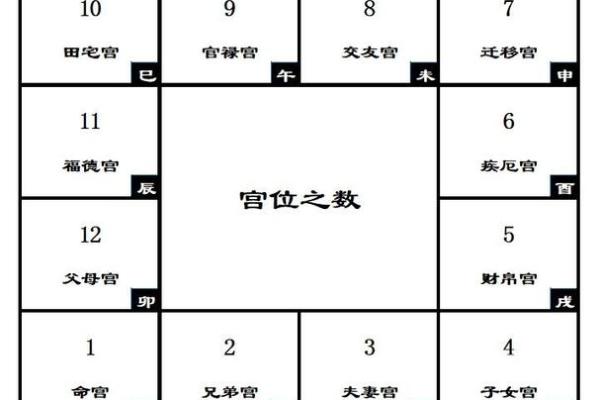 紫薇斗数排第几
