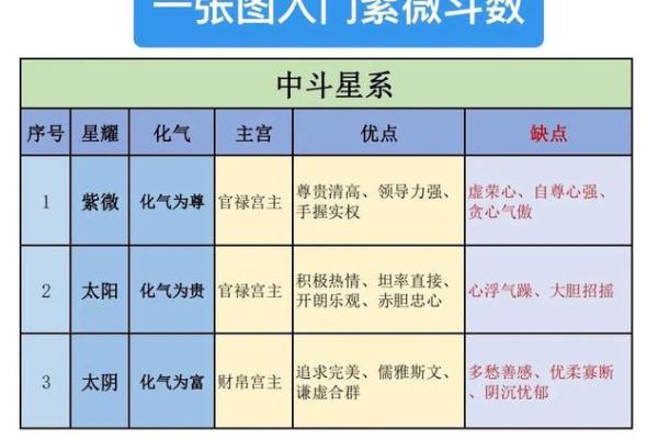 紫薇斗数排第几