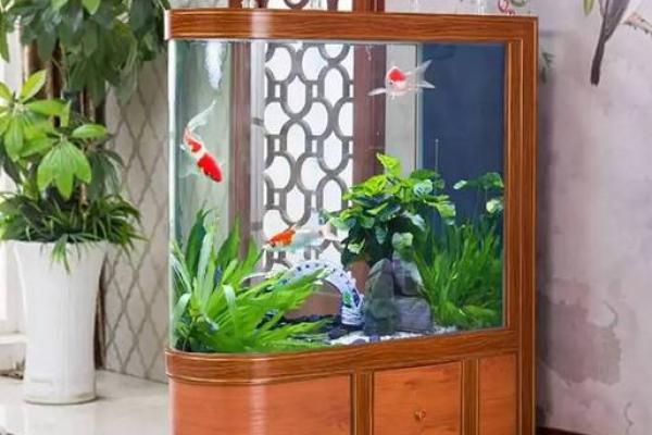 家中摆设风水鱼缸摆放位置财运好
