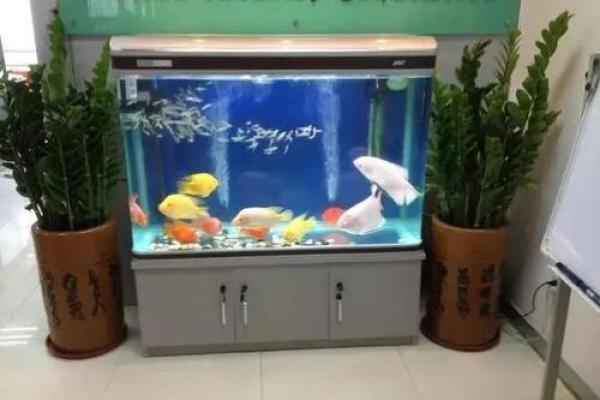 家中摆设风水鱼缸摆放位置财运好