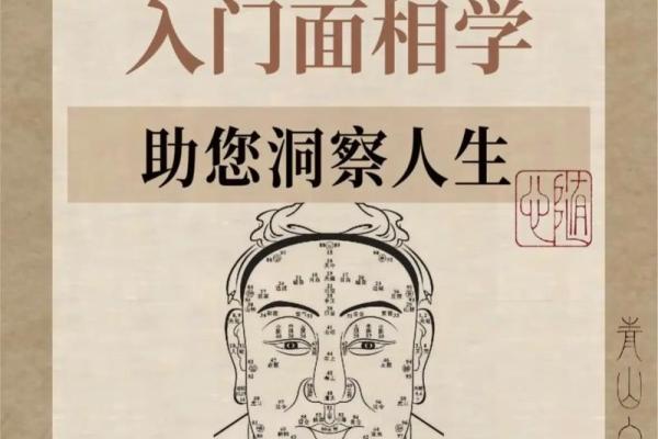 面相风水_更好看的风水小说