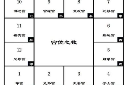 紫薇斗数排第几