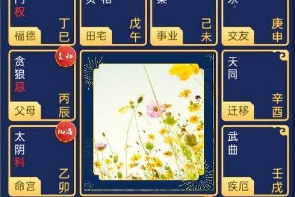 紫薇斗数相冲