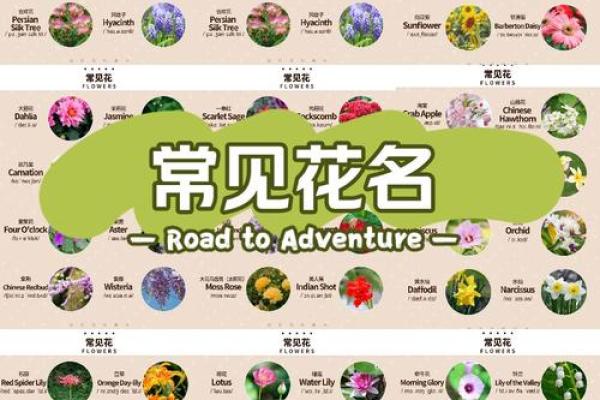 花姓男孩名字大全-花姓男孩起名字大全-花姓名字大全姓名