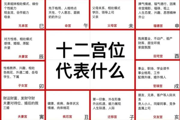 紫薇斗数夫妻宫乙未什么意思