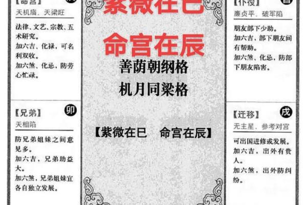 紫微斗数单身 紫微斗数看婚后生活? 紫微斗数单身 紫微斗数看婚后生活?