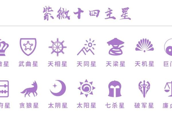 紫薇斗数14颗主 紫薇斗数14颗主