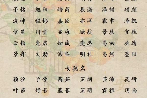 宝宝起名生辰八字起名 宝宝起名生辰八字起名