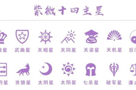 紫薇斗数14颗主
