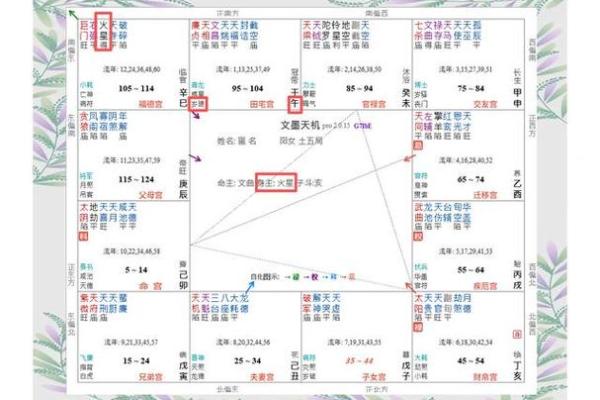 紫微斗数命宫身宫得分 紫微斗数命宫身宫查询表? 紫微斗数命宫身宫得分 紫微斗数命宫身宫查询表?