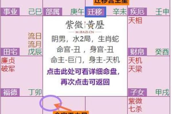 紫薇斗数男命命宫紫薇 紫薇斗数男命命宫紫薇