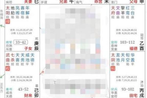 云机紫薇斗数 云机紫薇斗数