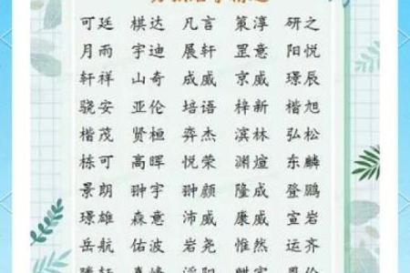 起双胞胎男孩名字时的几种方法-姓名学-华易网姓名