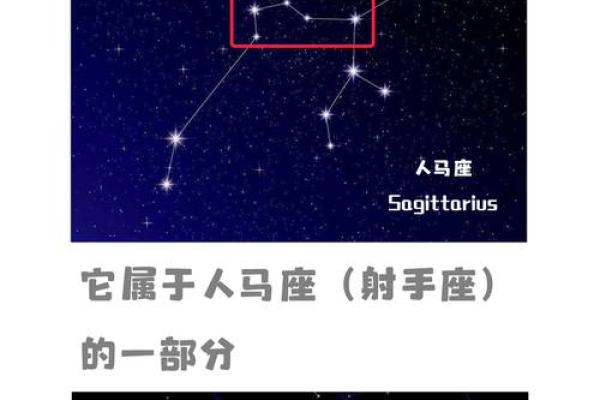 紫薇斗数视频奖励