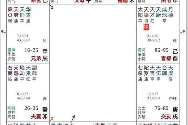 神巴巴紫薇斗数排盘