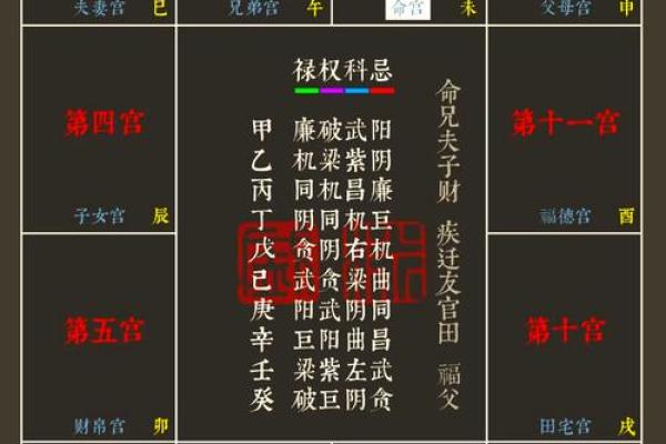 神巴巴紫薇斗数排盘