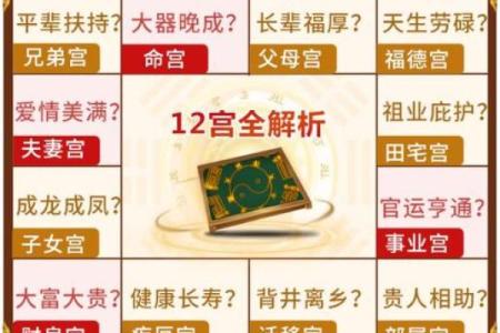 紫薇斗数视频奖励