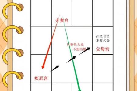 紫薇斗数学霸
