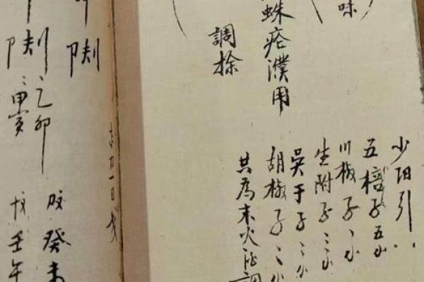 最真实的八字命理书籍排行 最真实的八字命理书籍排行