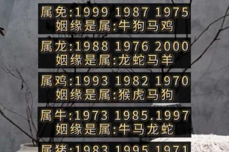 算命看你有几个前世今生