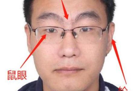 连心眉面相算命图解