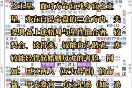 紫微斗数之：看命程序