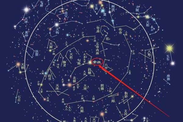 紫薇星几月出生的 紫薇星几月出生的