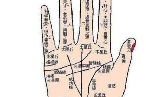 看手相算命:第四课 论事业命运 看手相算命:第四课 论事业命运