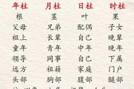 甲辰年最好的富贵八字有哪些呢